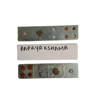 Papayakshama Devta Div