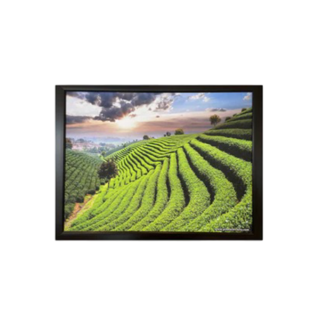 Green Landscape Painting (Small )