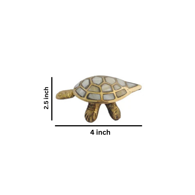 Wish Tortoise