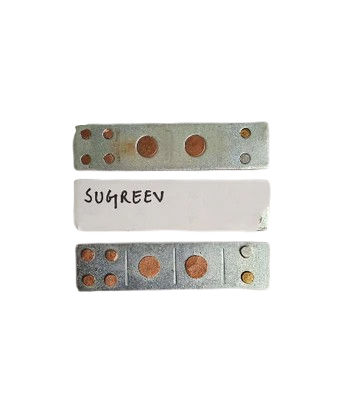 Sugreev Devta Div