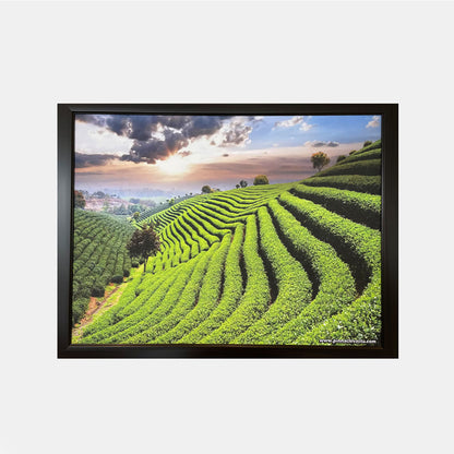 Green Landscape Painting