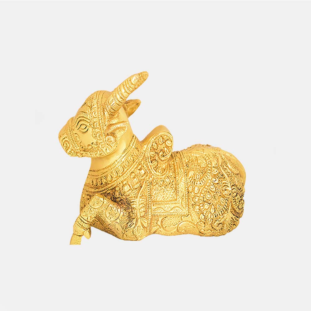 Nandi Bull