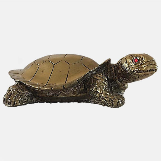 Tortoise( Kachukama)