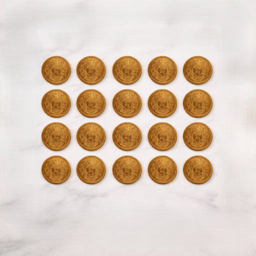 Copper Coin ( Set of 21 )
