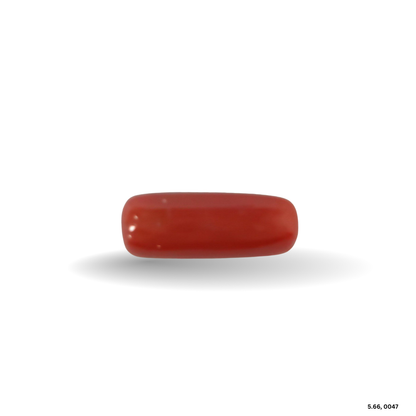 5.66 CARAT MOONGA (CAPSULE)