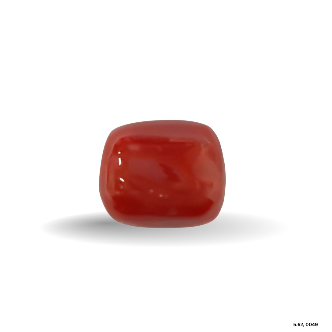 5.62 CARAT MOONGA (CAPSULE)