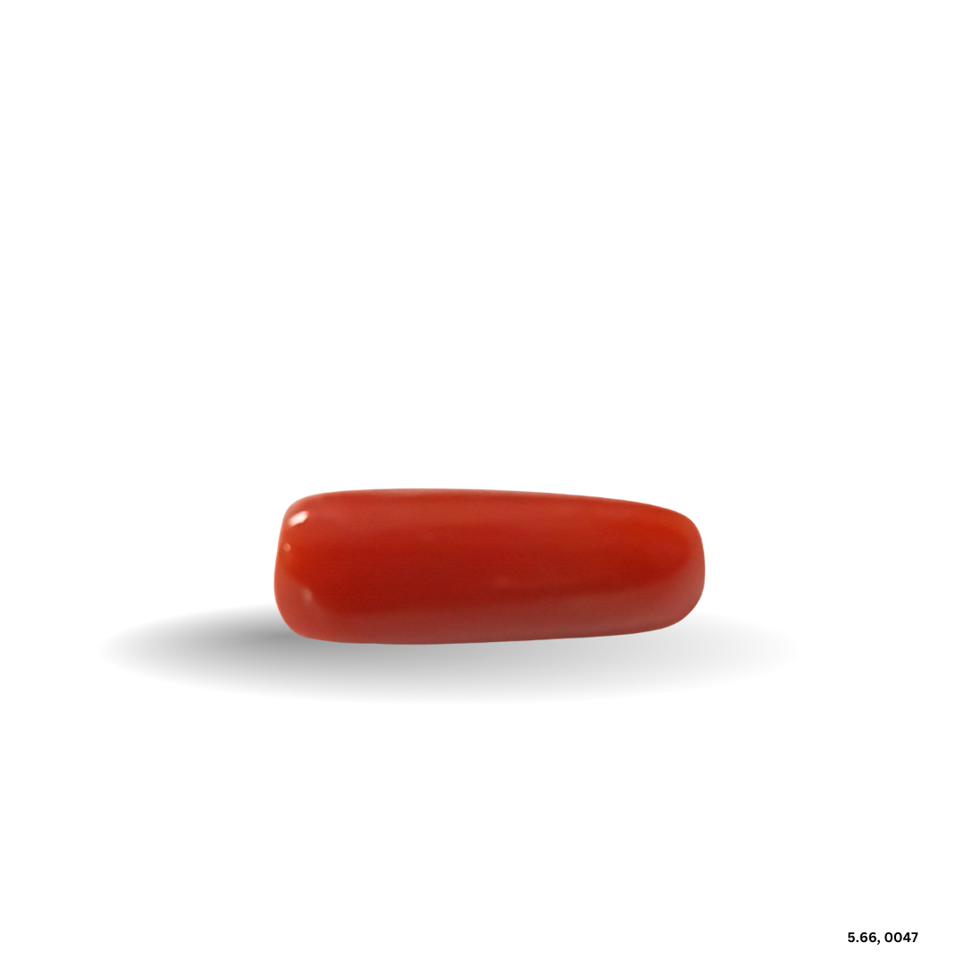 5.66 CARAT MOONGA (CAPSULE)