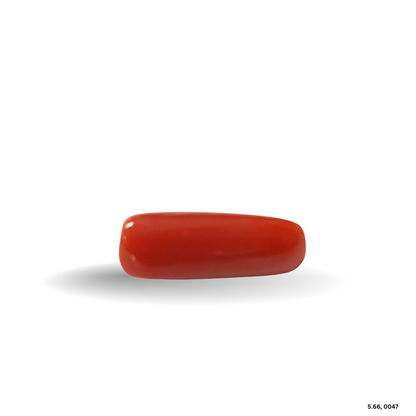 5.66 CARAT MOONGA (CAPSULE)