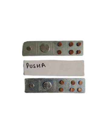 Pusha Devta Div