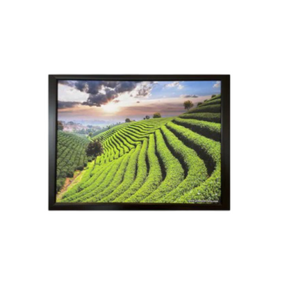 Green Landscape Painting (Small )