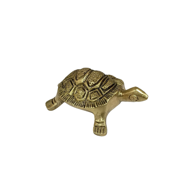 Brass Small Tortoise