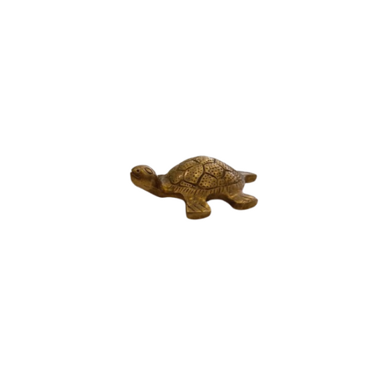 Brass Small Tortoise