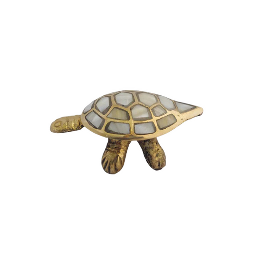Wish Tortoise