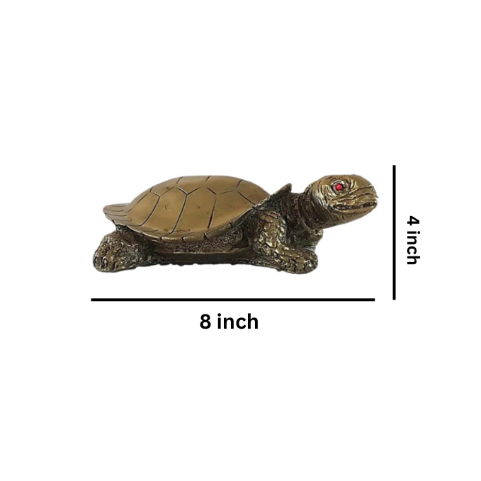 Tortoise( Ashtdhatu)