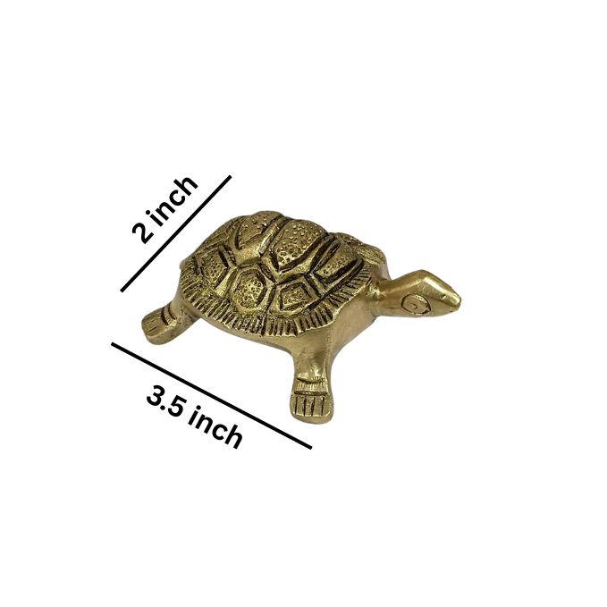 Brass Small Tortoise