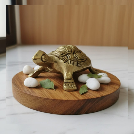 Brass Small Tortoise
