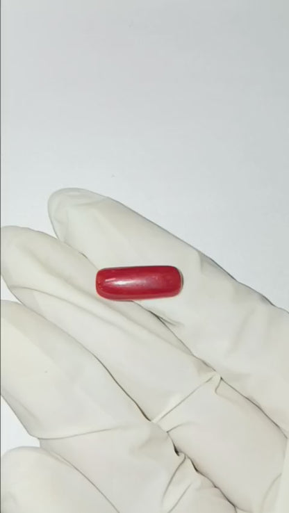 5.30 CARAT MOONGA (CAPSULE)