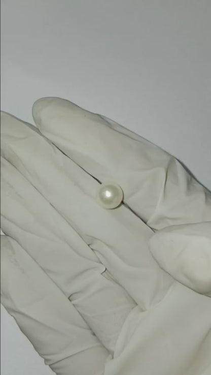 3.05 CARAT MOTI (GRADE A)