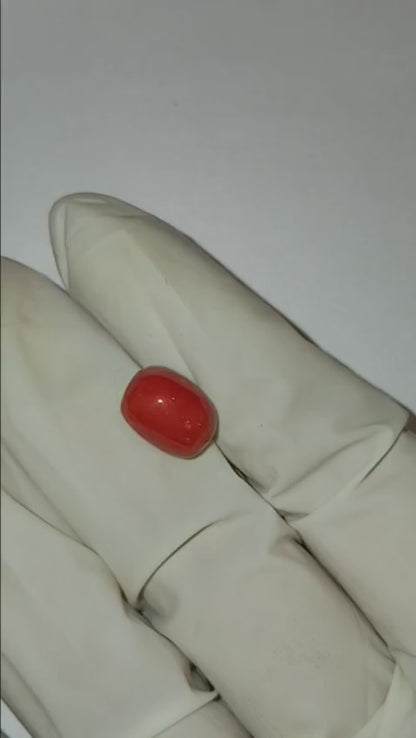 4.99 CARAT MOONGA (CAPSULE)