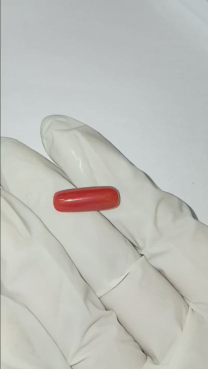 5.66 CARAT MOONGA (CAPSULE)