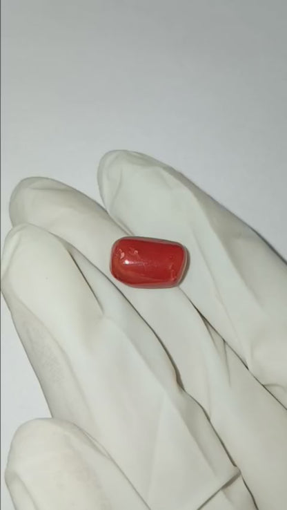 5.70 CARAT MOONGA (CAPSULE)