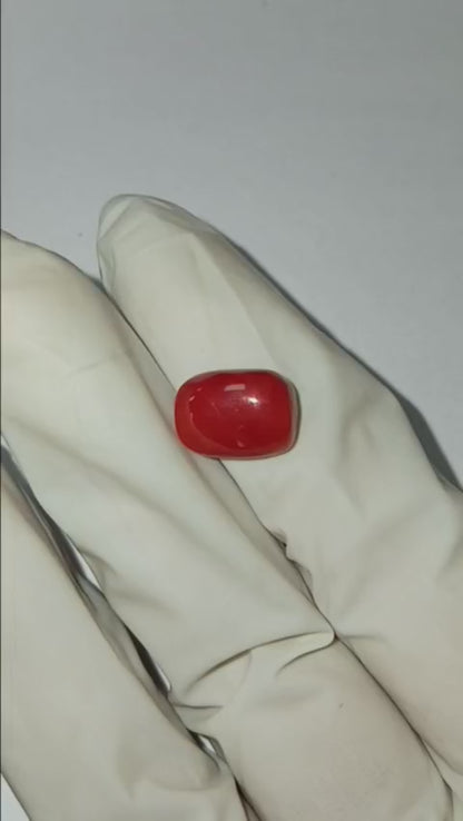 4.87 CARAT MOONGA (CAPSULE)