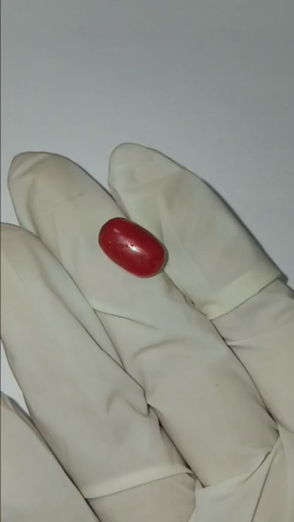 4.85 CARAT MOONGA (CAPSULE)