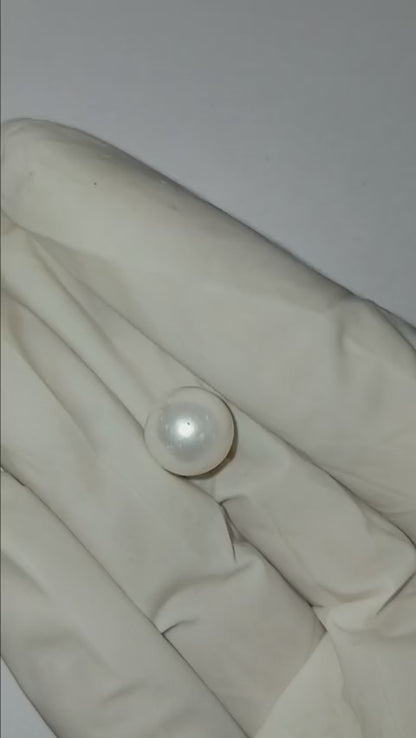 7.70 CARAT MOTI (GRADE A)