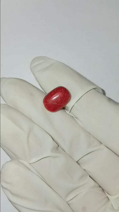 5.00 CARAT MOONGA (CAPSULE)