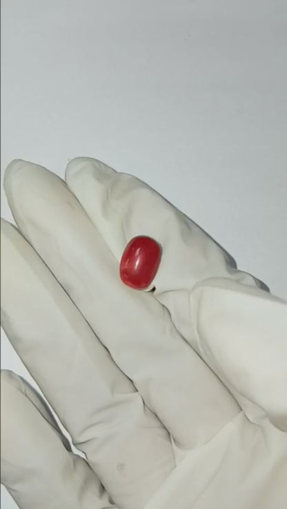 5.00 CARAT MOONGA (CAPSULE)