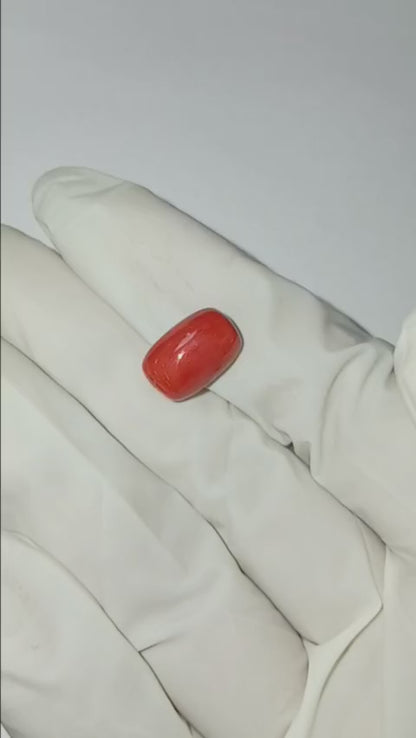 6.11 CARAT MOONGA (CAPSULE)